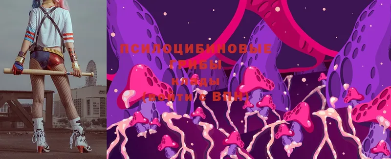 Псилоцибиновые грибы Magic Shrooms  что такое   Велиж 